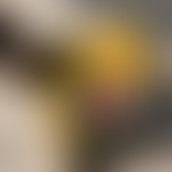 Ficha Técnica Rinomak