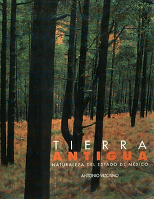 tierra antigua.png