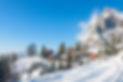 7CECB03D-1A48-4F58-92FD-9AD8C109ED13.jpeg