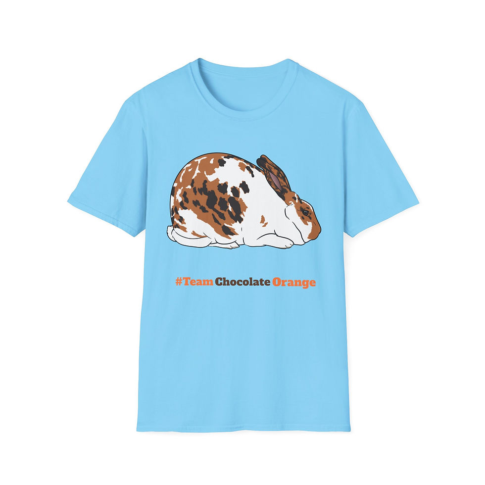 Thumbnail: #TeamChocolateOrange Unisex *Softstyle* T-Shirt