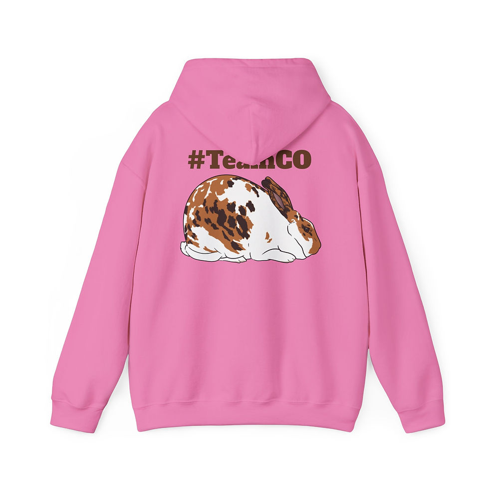 Thumbnail: #TeamCO Trifecta of Rabbits Hoodie - Cozy Unisex Sweatshirt