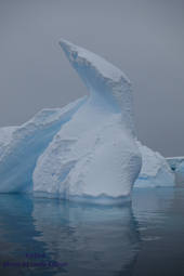 Icebird - The Inspiration