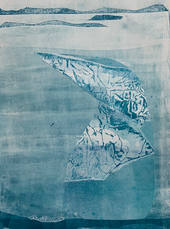 Icebird 6