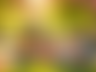 Child inviting another child to join a group of friends at a sunny park picnic, showing how kids learn friendship and inclusion skills.