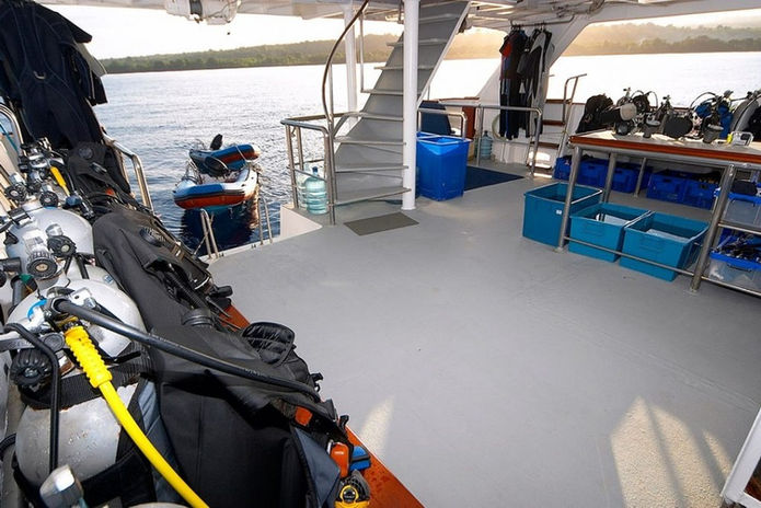 dive deck.jpeg