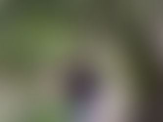 Y mi sueldo se va en medicamentos