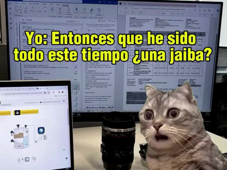 Cuando el mexicano se disfraza de mexicano para parecer mexicano