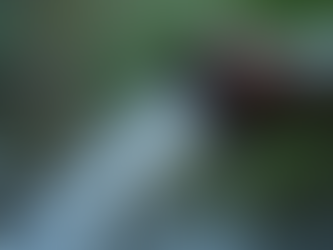 Swift Solutions for Burst Pipe Emergencies: Your Guide to Emergency Plumbing Assistance