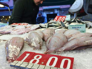 precio del dia de pescado fresco en un mercado