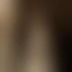 Chant d'Ailes et Clerc de plumes