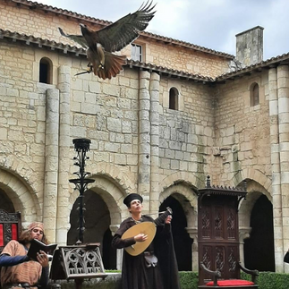 Chant d'Ailes - fauconnerie