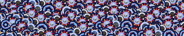 Large CSW Narrow Banner.jpg