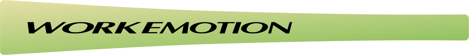 Work Emotion ZR10/D9R 17-19" Spoke Stickers - Satin Jade Metallic (4 PCS)