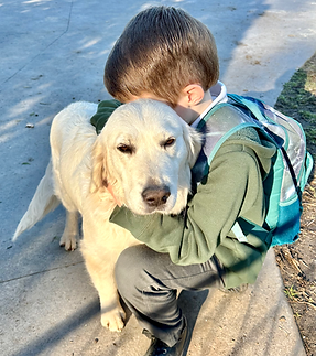 Super Canine golden retriever providing emotional support