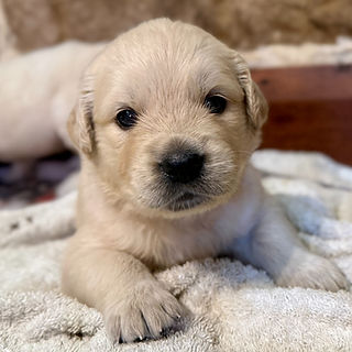 IMG_5769 2_edited.jpg