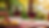 Wine and Dine Culinary Experience