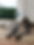 sahiplendirme için kedi ilanlari gösteren ikinci küçük fotoğraf