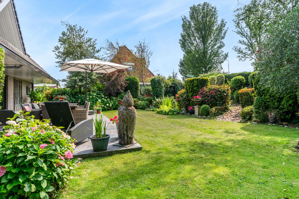 Garden 6