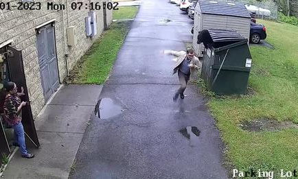 Breaking News! - Tease the Bear, Get a Scare: A New Trend Amongst Daredevils