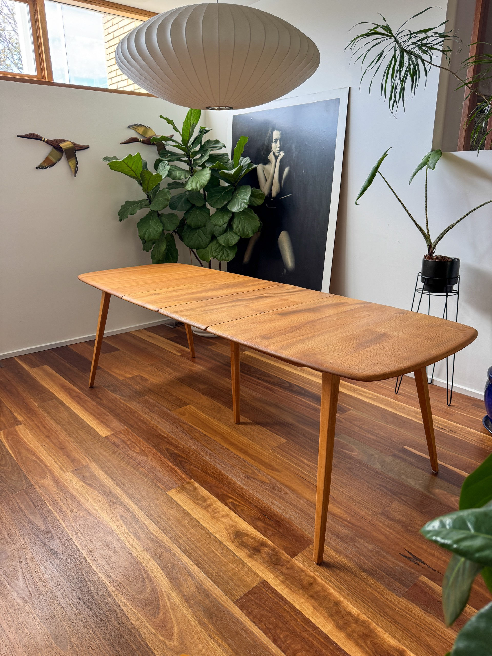 Mid-century Ercol Grand Windsor extending dining table