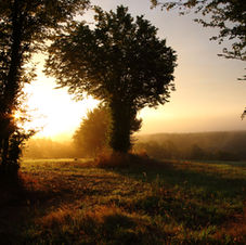 Misty sunrise_9661.JPG