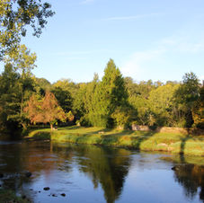 River Creuse in early autumn_9502.JPG