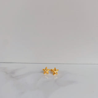 916 Gold Star Stud Earrings