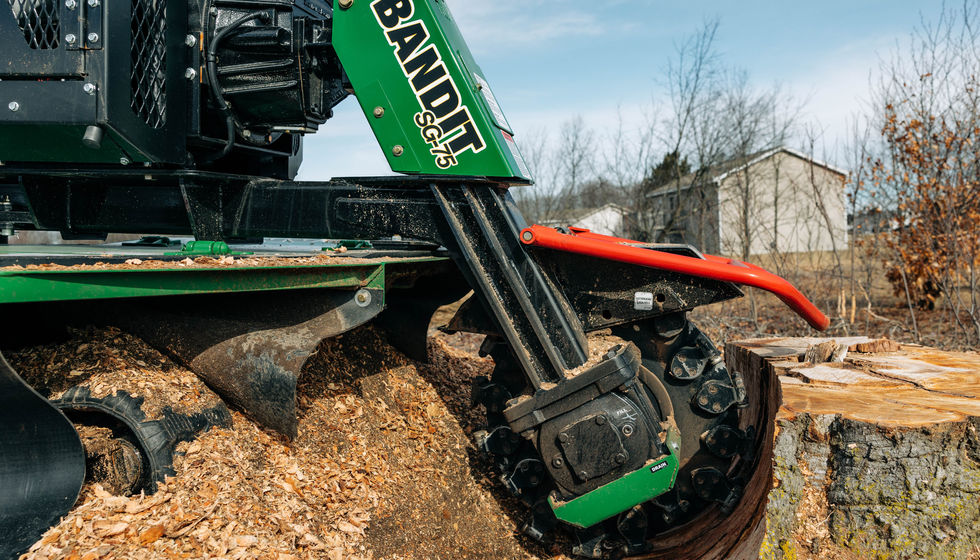 Stumptime Stump Removal Green's Tree Service Traverse City Michigan Captured By Grace Huds