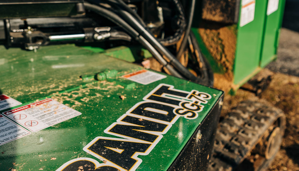 Stumptime Stump Removal Green's Tree Service Traverse City Michigan Captured By Grace Huds
