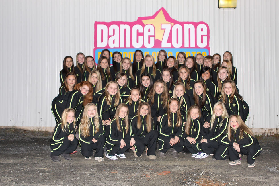 DZ Selects 2011-2012
