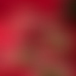 Chào Đón Mùa Lễ Hội Cùng Menu Đặc Biệt Từ Zumwhere