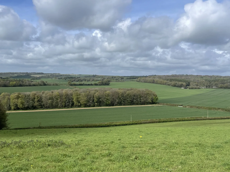 2026 Groundwater catchment walkovers