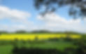 RWWAL SPZ1 Arable2 11.05_edited.jpg