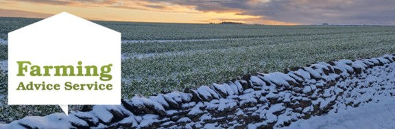 Farm Finance Planning in 2026