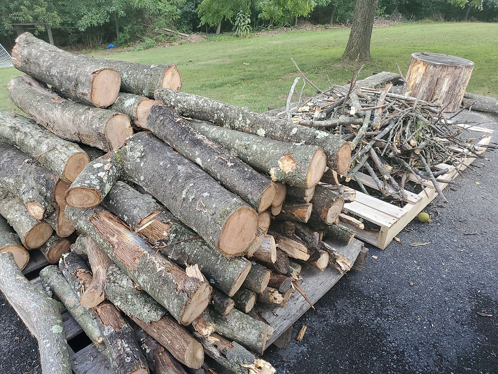 Hardworking Homestead