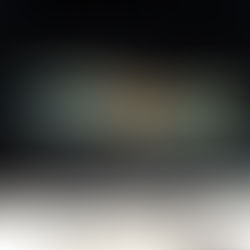 Hybrids CS, the focal point at Adelinda Allegretti Fine Art (Italy)