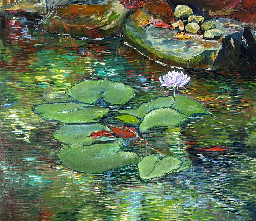 Lily_on_Pond June 26.jpg