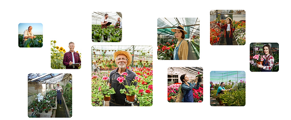 Design sem nome (19).png