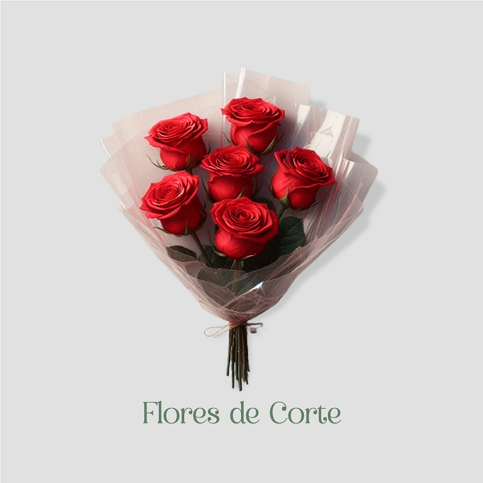 flores de corte