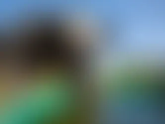 No hay leche sin agua