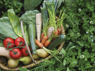 The Ancestral Diet: Food From The Family Tree (Blog Talk Radio Episode)