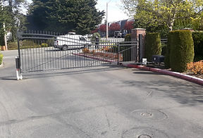 20200417_111813.jpg