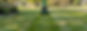 GoDaddy_T5B00791_edited.jpg