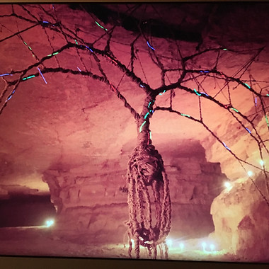 The illuminated tree.jpeg