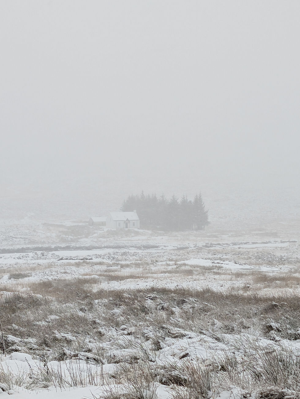 A solitary cottage nestled in a snow-dusted landscape, barely visible through a blanket of thick fog.