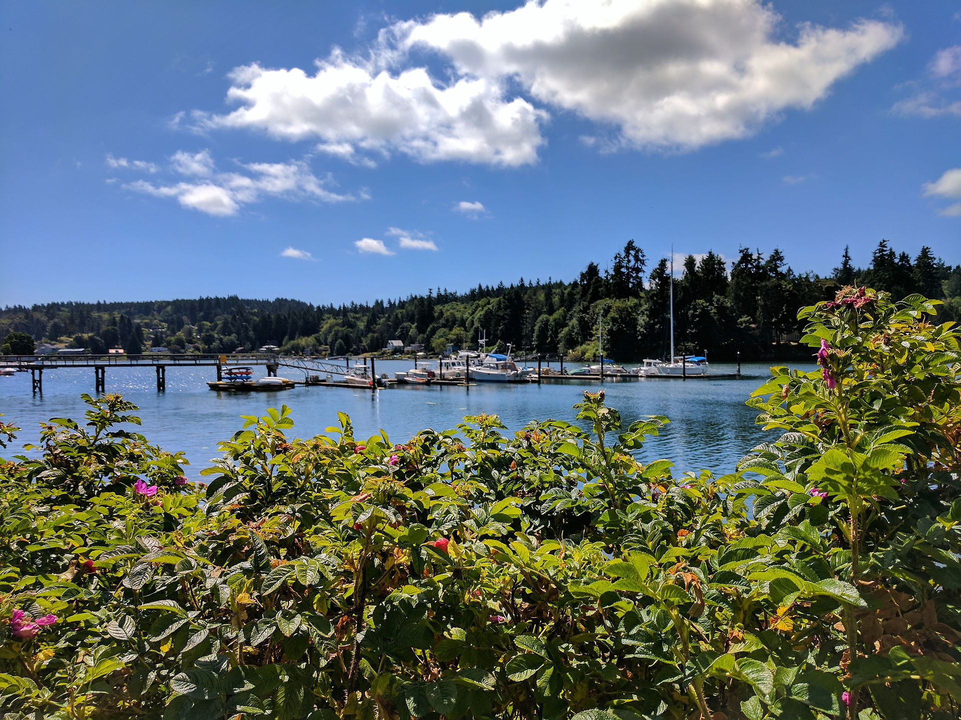 Waterfront Trail