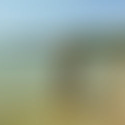 When Shit Hits The Fan, Pack Up And Leave…