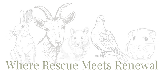 Screen Shot 2025-12-22 at 10.42.23 PM.png