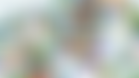 Once Again! Asheville Ground Zero for Corruption