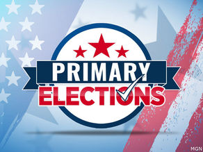 Primary Election Info 2022